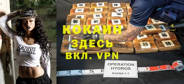 спиды Каменка